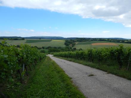 Panoramaweg